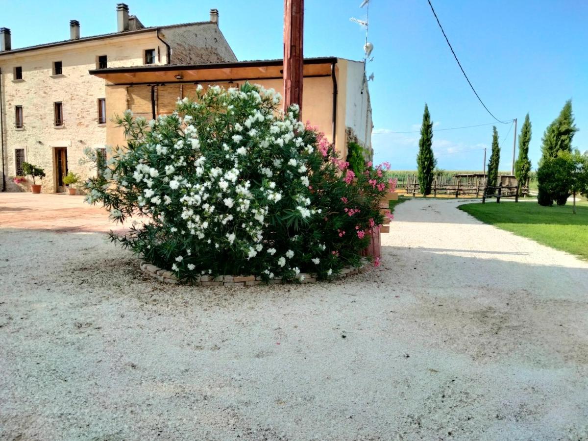 B&B Turistic 7 Castel Goffredo Exterior foto